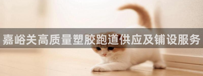 尊龙集团有限公司