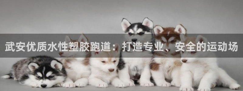 尊龙官方网址：武安优质水性塑胶跑道：打造专业、安全的运动场