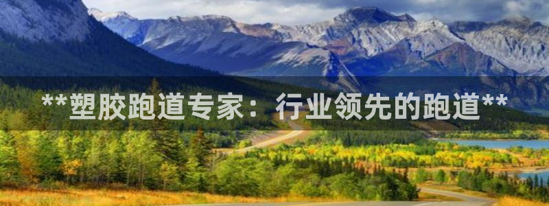 尊龙网页：**塑胶跑道专家：行业领先的跑道**