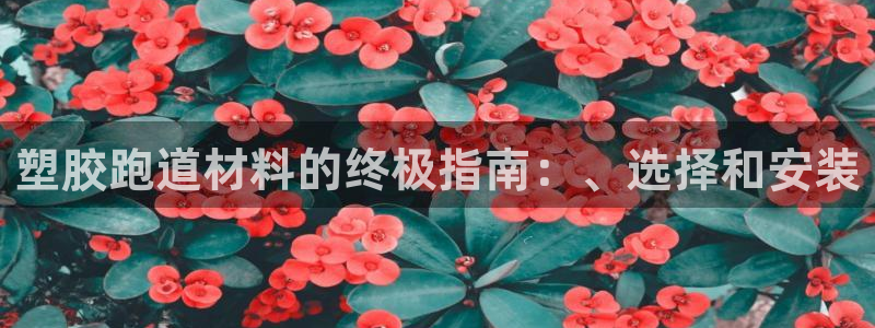 尊龙现金一下S选来就送38：塑胶跑道材料的终极指南：、选择和安装