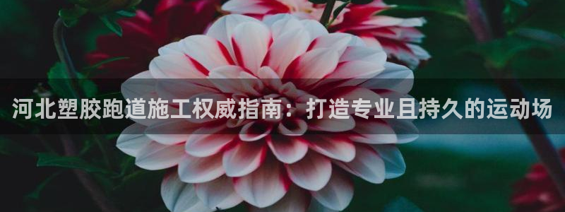 尊龙凯时百万奖池：河北塑胶跑道施工权威指南：打造专业且持久的运动场