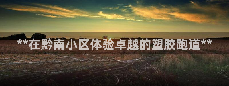 凯时国际app首页：**在黔南小区体验卓越的塑胶跑道**