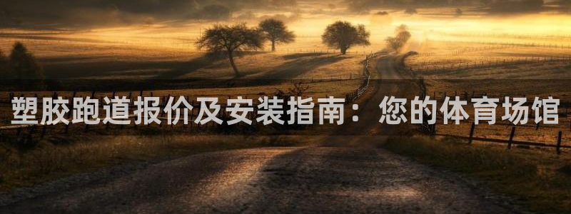 尊龙凯时用户名m：塑胶跑道报价及安装指南：您的体育场馆