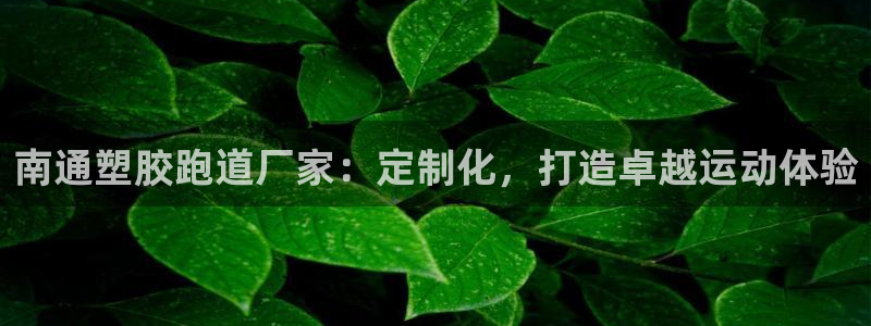 尊龙凯时v7要冲多少：南通塑胶跑道厂家：定制化，打造卓越运动体验