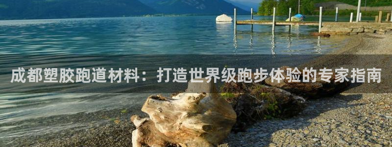 尊龙165：成都塑胶跑道材料：打造世界级跑步体验的专家指南