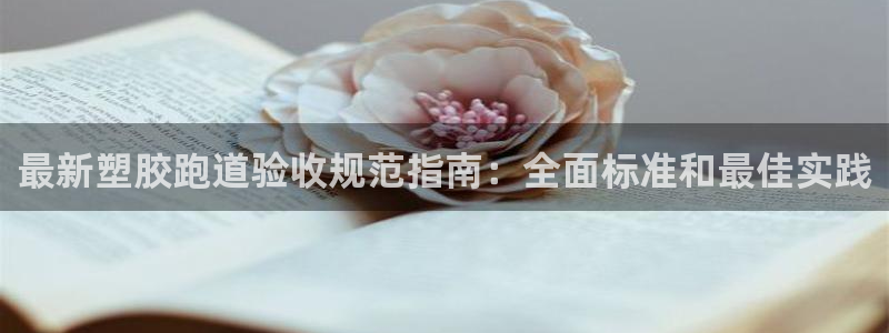 尊龙2020：最新塑胶跑道验收规范指南：全面标准和最