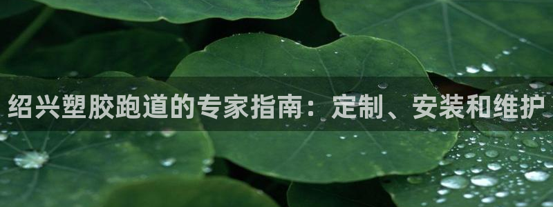 尊龙官网手机版下载：绍兴塑胶跑道的专家指南：定制、安装和维护