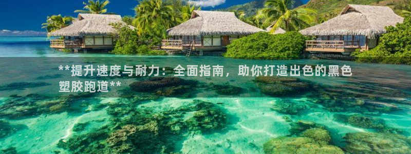 尊龙现金d88：**提升速度与耐力：全面指南，助你打