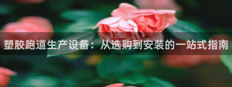 尊龙eight is enough