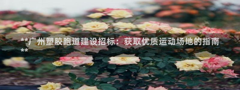 尊龙贴吧