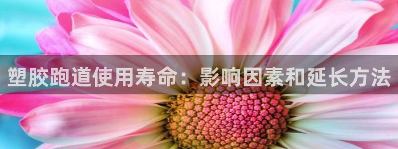 最新凯时官网网址
