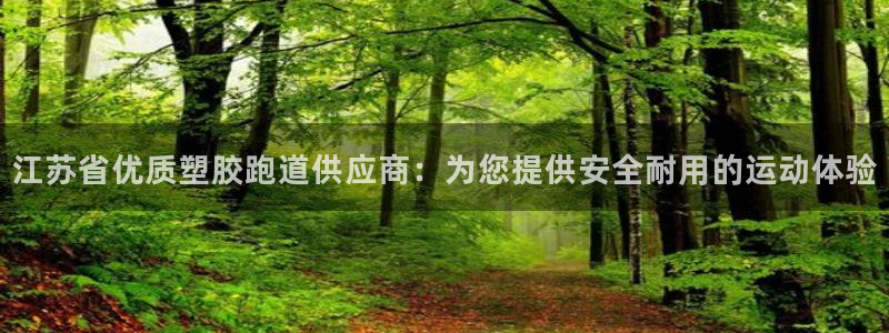 尊龙AG旗舰厅APP：江苏省优质塑胶跑道供应商：为您提供安全耐用的运动体验