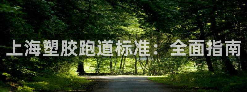 尊龙休闲e站怎么样：上海塑胶跑道标准：全面指南