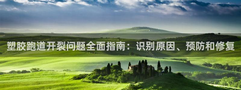 尊龙凯时ag旗舰厅试玩：塑胶跑道开裂问题全面指南：识别原因、预防和修复