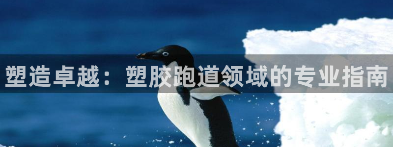 尊龙凯时取钱很慢：塑造卓越：塑胶跑道领域的专业指南