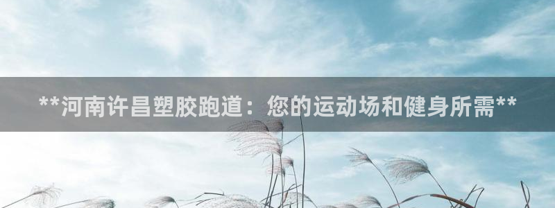 尊龙集团有限公司官网：**河南许昌塑胶跑道：您的运动场和健身所需**