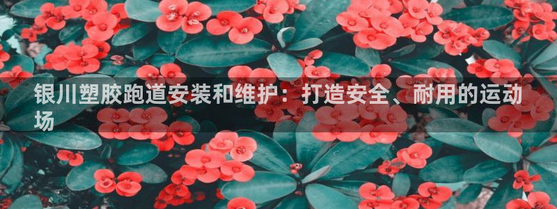 尊龙凯时登陆：银川塑胶跑道安装和维护：打造安全、耐用的运动
场