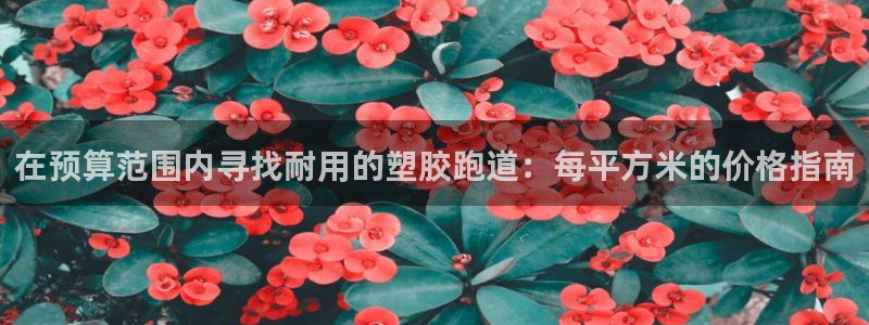 尊龙凯时 人生就是搏!平台