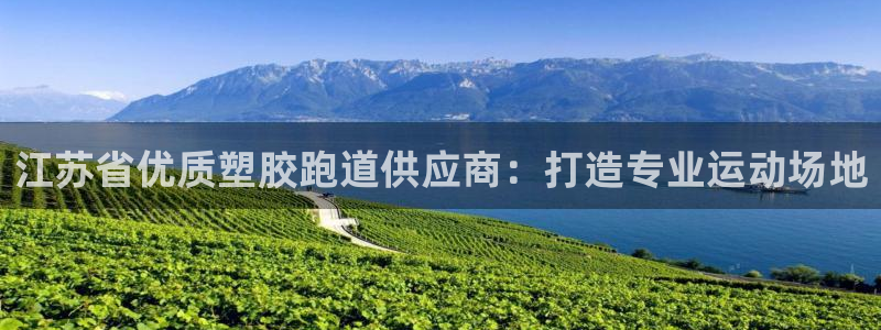 尊龙人生就是博i可靠吗：江苏省优质塑胶跑道供应商：打造专业运动场地