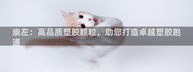 尊龙凯时是直营吗