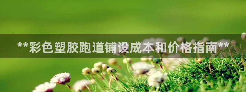 尊龙凯时人生就是搏!官网：**彩色塑胶跑道铺设成本和价格指南**