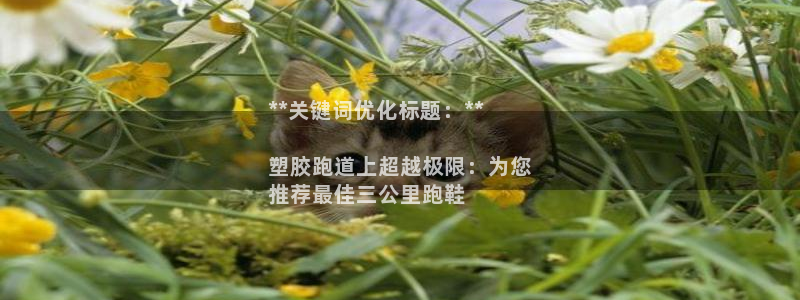 凯时效果怎么样：**关键词优化标题：**

塑胶跑道上超越极限：为您
推荐最佳三公里跑鞋