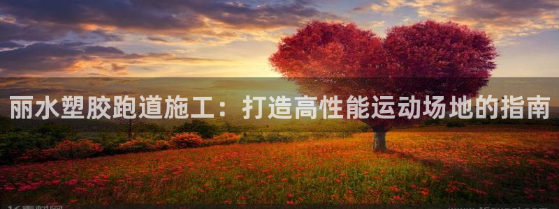 尊龙凯时可以提现吗：丽水塑胶跑道施工：打造高性能运动场地的指南