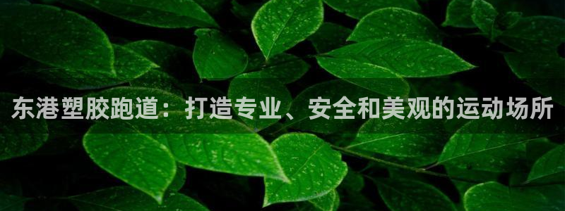 凯时平台官网RA来就送38：东港塑胶跑道：打造专业、安全和美观的运动场所
