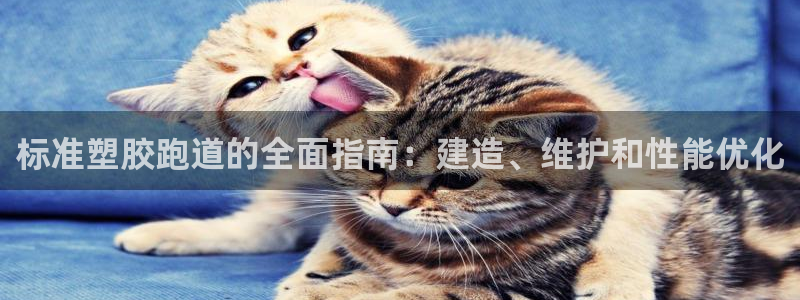 标准塑胶跑道的全面指南：建造、维护和性能优化