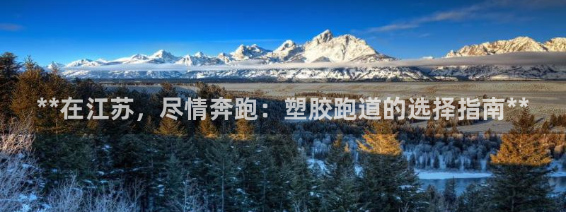 尊龙凯时城游戏官网：**在江苏，尽情奔跑：塑胶跑道的选择指南**