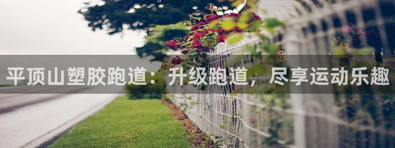 尊龙多少岁：平顶山塑胶跑道：升级跑道，尽享运动乐趣