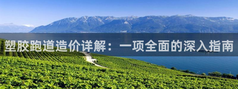 尊龙人生就是博首页入口：塑胶跑道造价详解：一项全面的深入指南