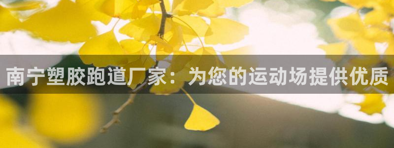 尊龙z6官网ag：南宁塑胶跑道厂家：为您的运动场提供