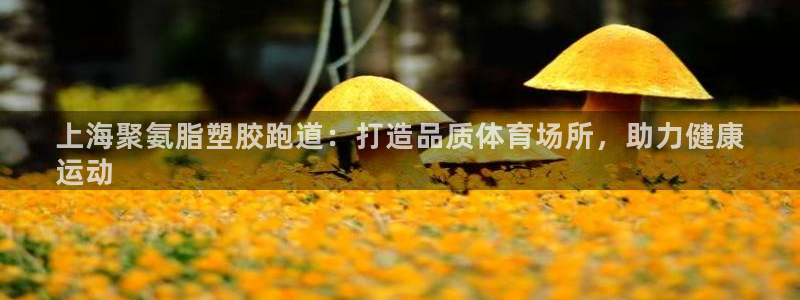凯时登录首页,凯时K66：上海聚氨脂塑胶跑道：打造品
