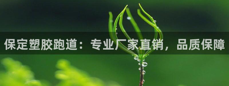 尊龙 ag：保定塑胶跑道：专业厂家直销，品质保障