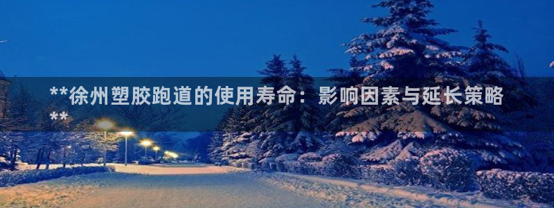 尊龙凯时人生就是搏·(中国)官网：**徐州塑胶跑道的使用寿命：影响因素与延长策略
**