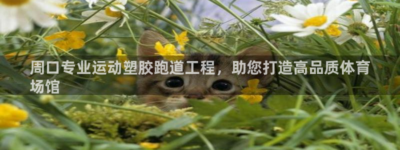 尊龙游戏app官方网站：周口专业运动塑胶跑道工程，助您打造高品质体育
场馆