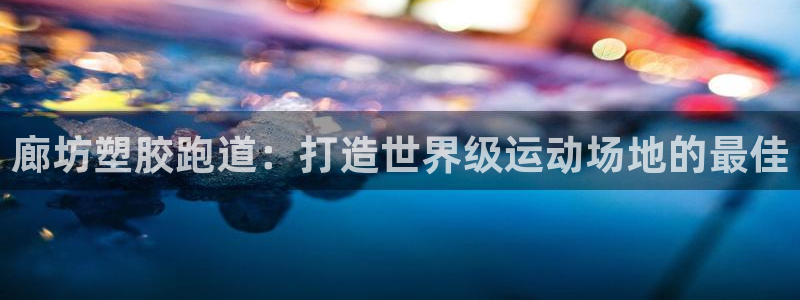 尊龙网站 人生就是博：廊坊塑胶跑道：打造世界级运动场地的最佳