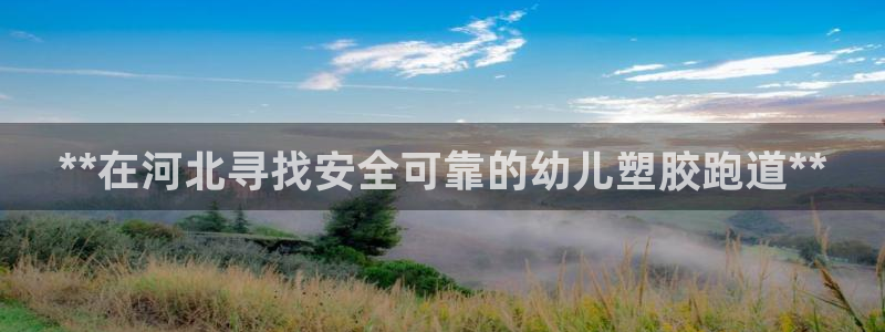 尊龙目前在哪：**在河北寻找安全可靠的幼儿塑胶跑道**