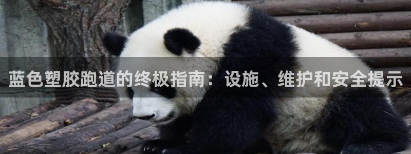 尊龙凯时为什么不封：蓝色塑胶跑道的终极指南：设施、维