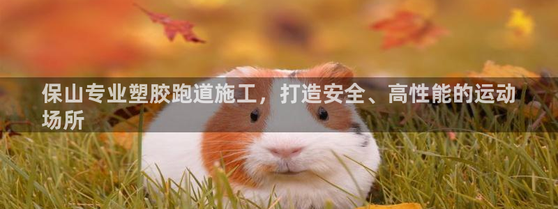 尊龙凯时app官方网站：保山专业塑胶跑道施工，打造安