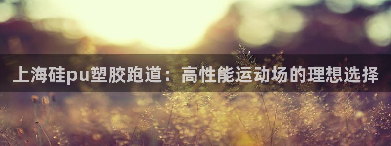 尊龙d88官网so问来就送38：上海硅pu塑胶跑道：高性能运动场的理想选择