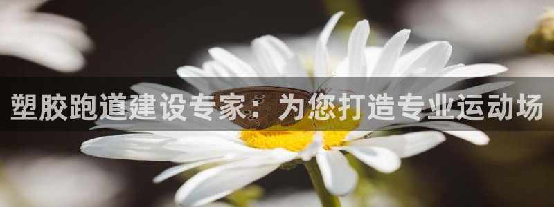 Z6尊龙凯时登录：塑胶跑道建设专家：为您打造专业运动