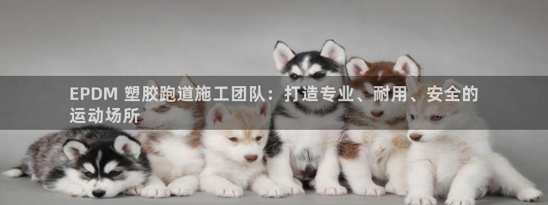 尊龙新版手机app下载：EPDM 塑胶跑道施工团队：