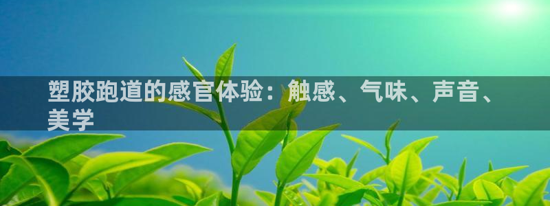 尊龙平台有谁玩过：塑胶跑道的感官体验：触感、气味、声音、
美学