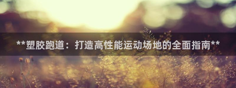 尊龙coming to my own：**塑胶跑道：打造高性能运动场地的全面指南**