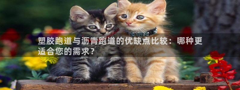 尊龙凯时官网首页：塑胶跑道与沥青跑道的优缺点比较：哪