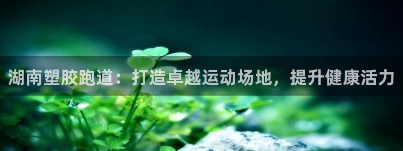 ag旗舰平台尊龙代言：湖南塑胶跑道：打造卓越运动场地，提升健康活力
