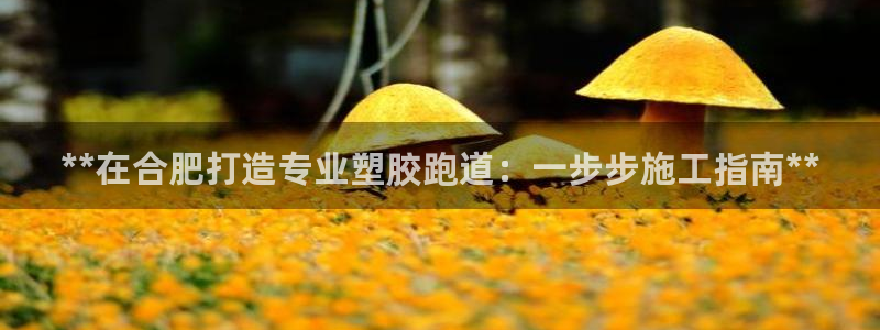 尊龙凯时法充十万返现多少：**在合肥打造专业塑胶跑道