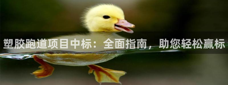 尊龙凯时手机版·(中国)官方网站：塑胶跑道项目中标：